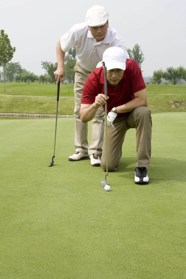 Comment mettre en place un concours de photographie nature pour amateurs?